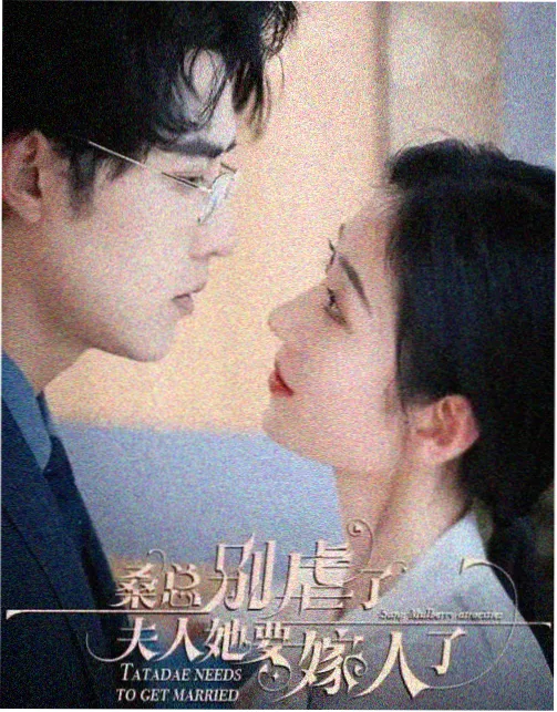 长夜书店在线看免费电视剧